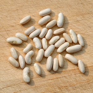 Gold Rush Bean Seeds