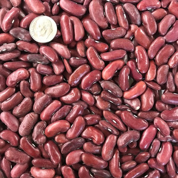 Dark Red Kidney Bean Seeds