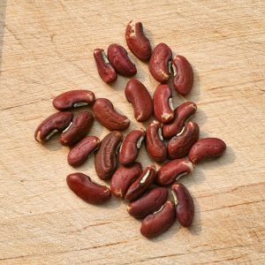 Yardlong Bean Seeds