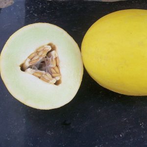 Goldilocks F1 Hybrid Canary Melon