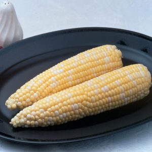 Ambrosia Sugary Enhancer Corn