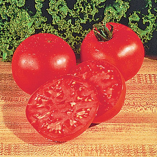 Burpee’s Big Boy F1 Hybrid Tomato