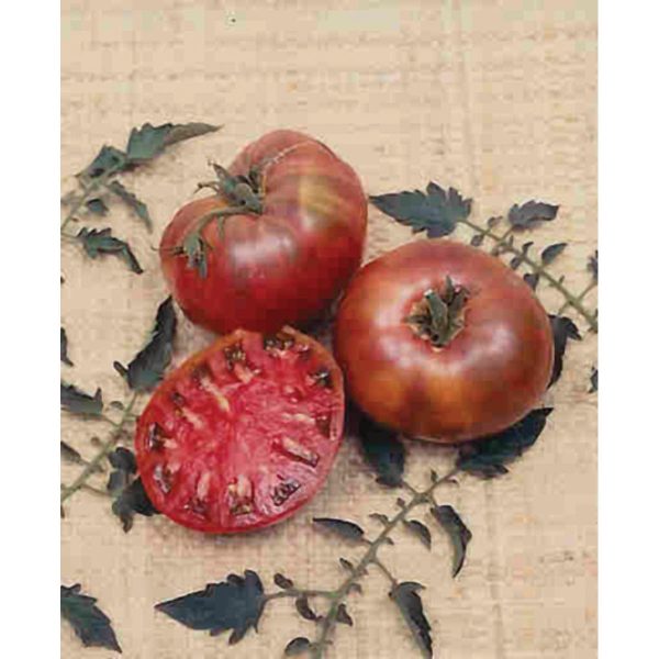 Cherokee Purple Heirloom Tomato