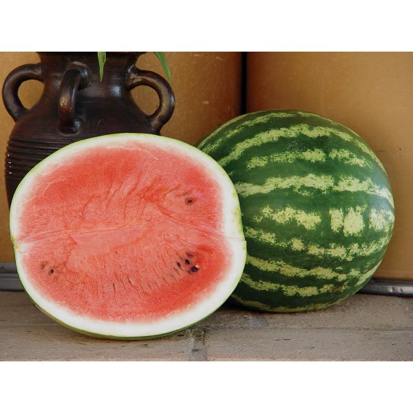 Amiga F1 Watermelon